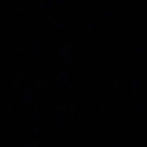 Meet your Posher, Dunieski